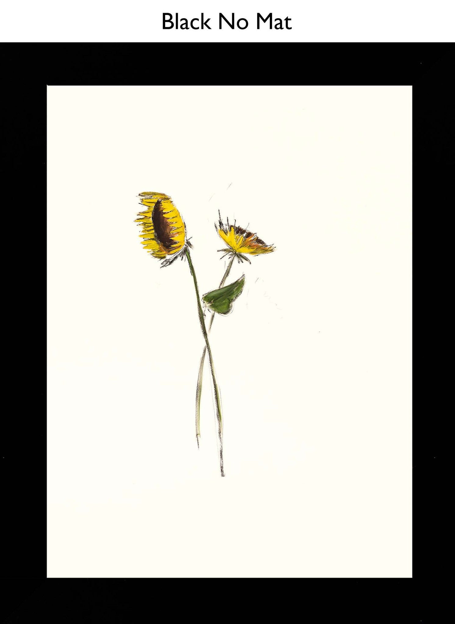 Black No Mat