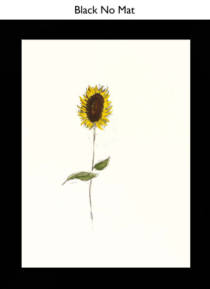 Black No Mat