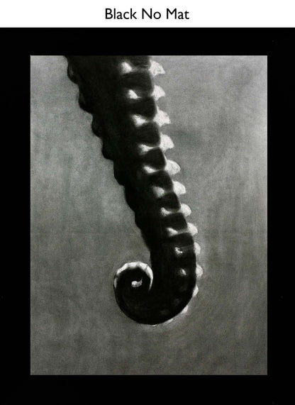 Black No Mat