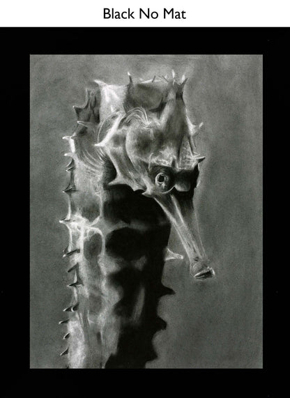 Black No Mat