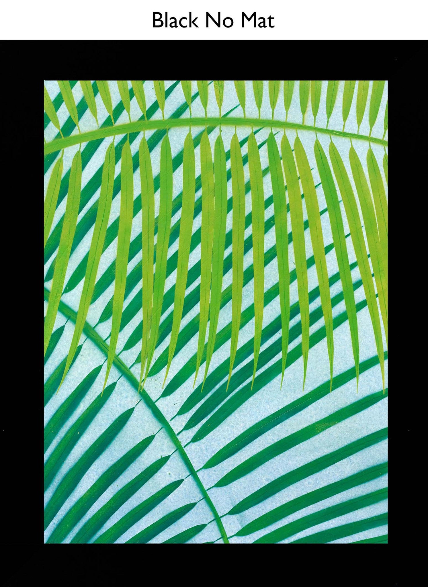 Black No Mat