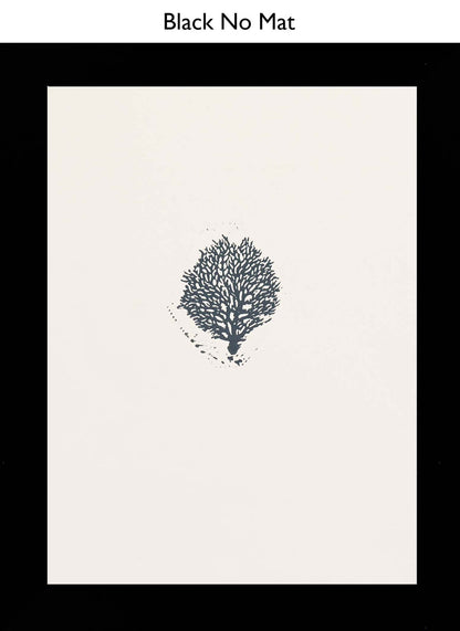 Black No Mat