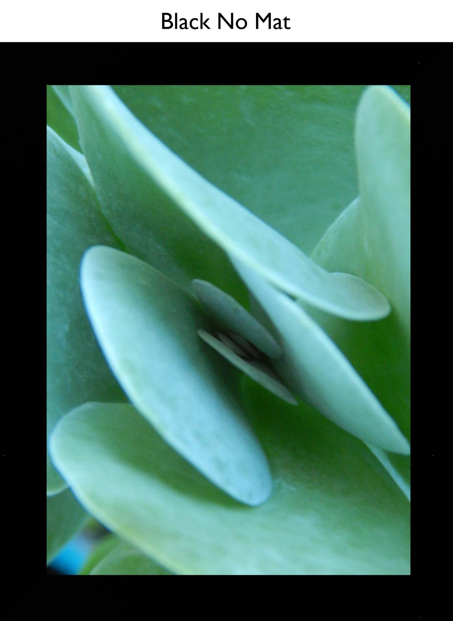 Black No Mat