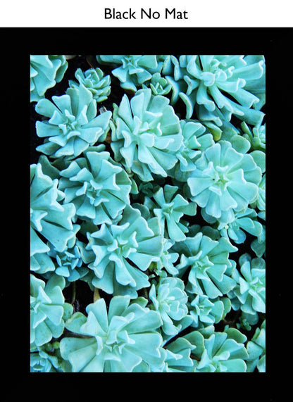 Black No Mat