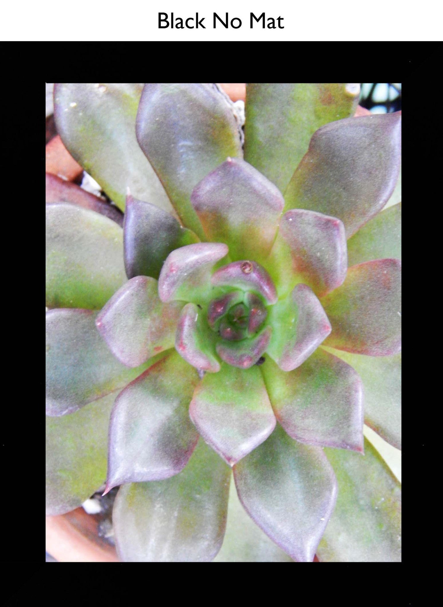 Black No Mat