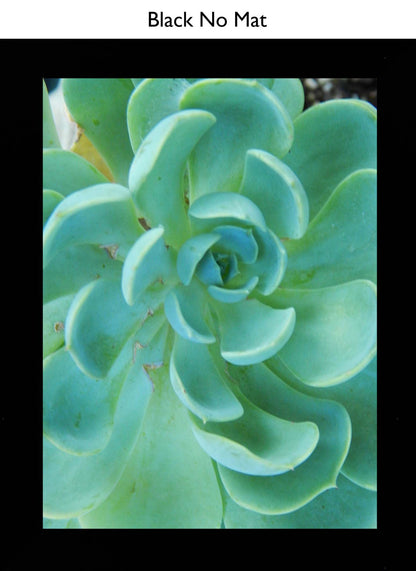 Black No Mat