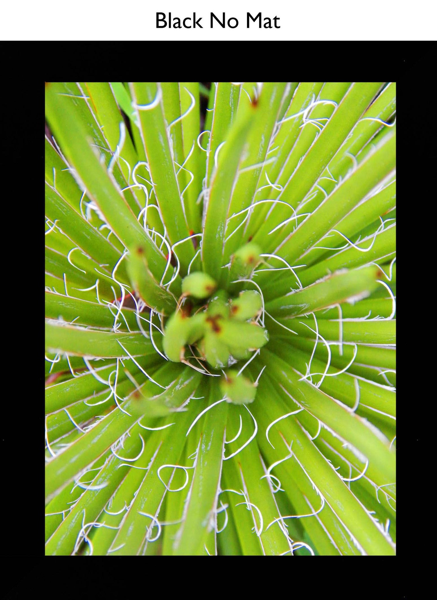 Black No Mat