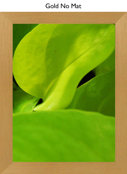 Gold No Mat