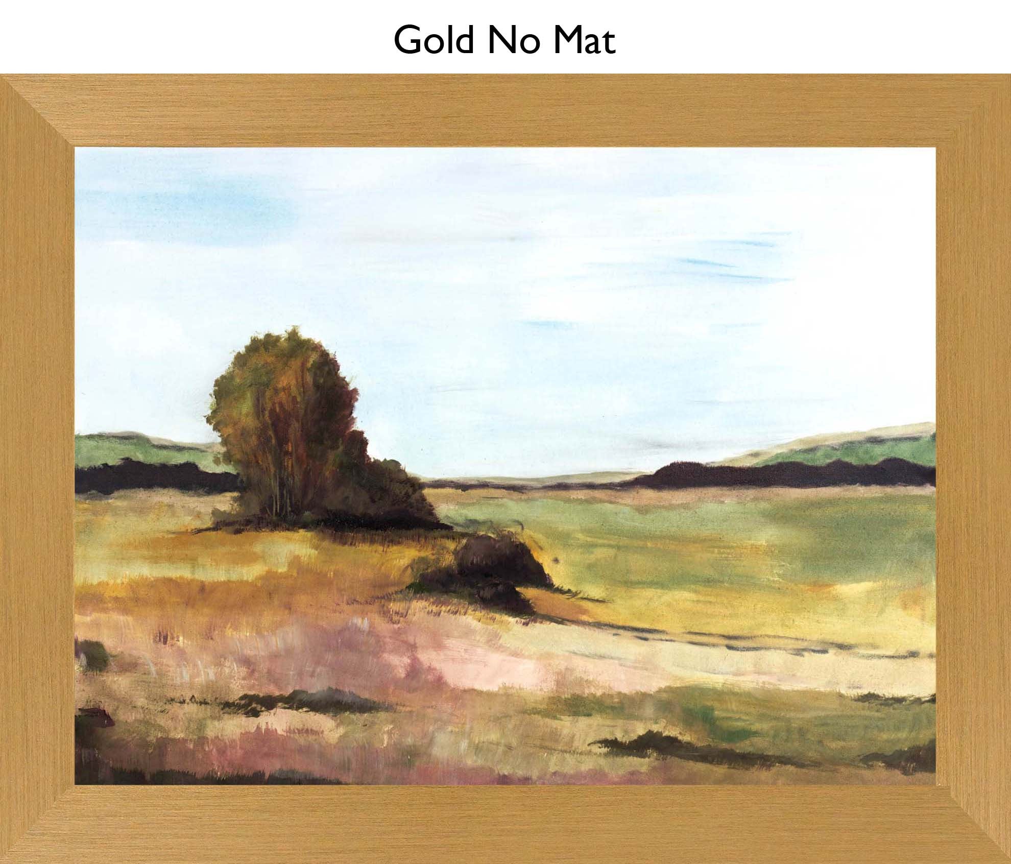Gold No Mat
