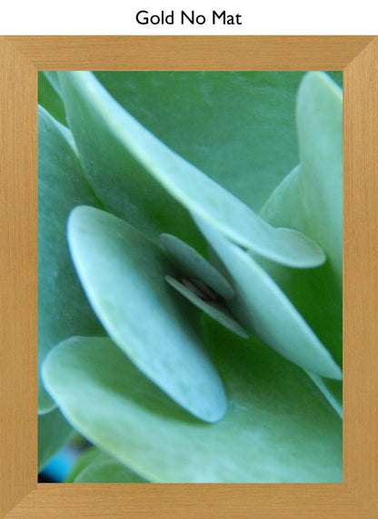 Gold No Mat