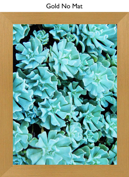 Gold No Mat