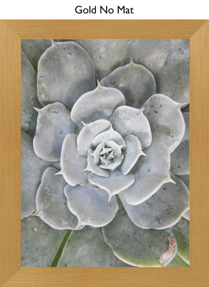 Gold No Mat