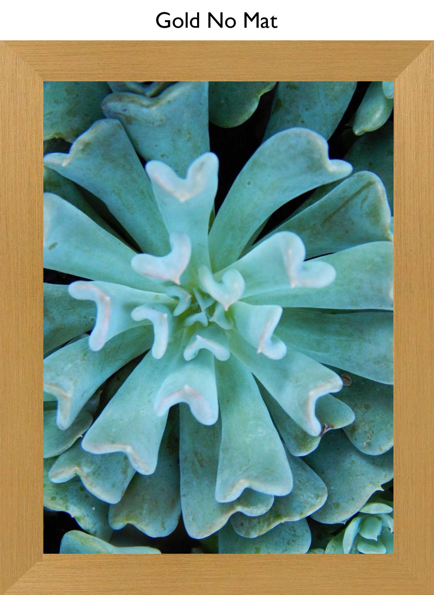 Gold No Mat