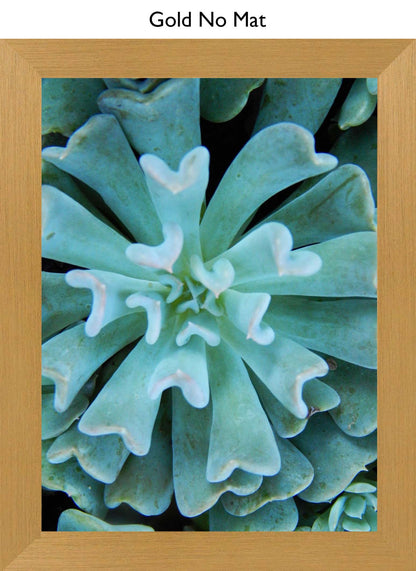 Gold No Mat