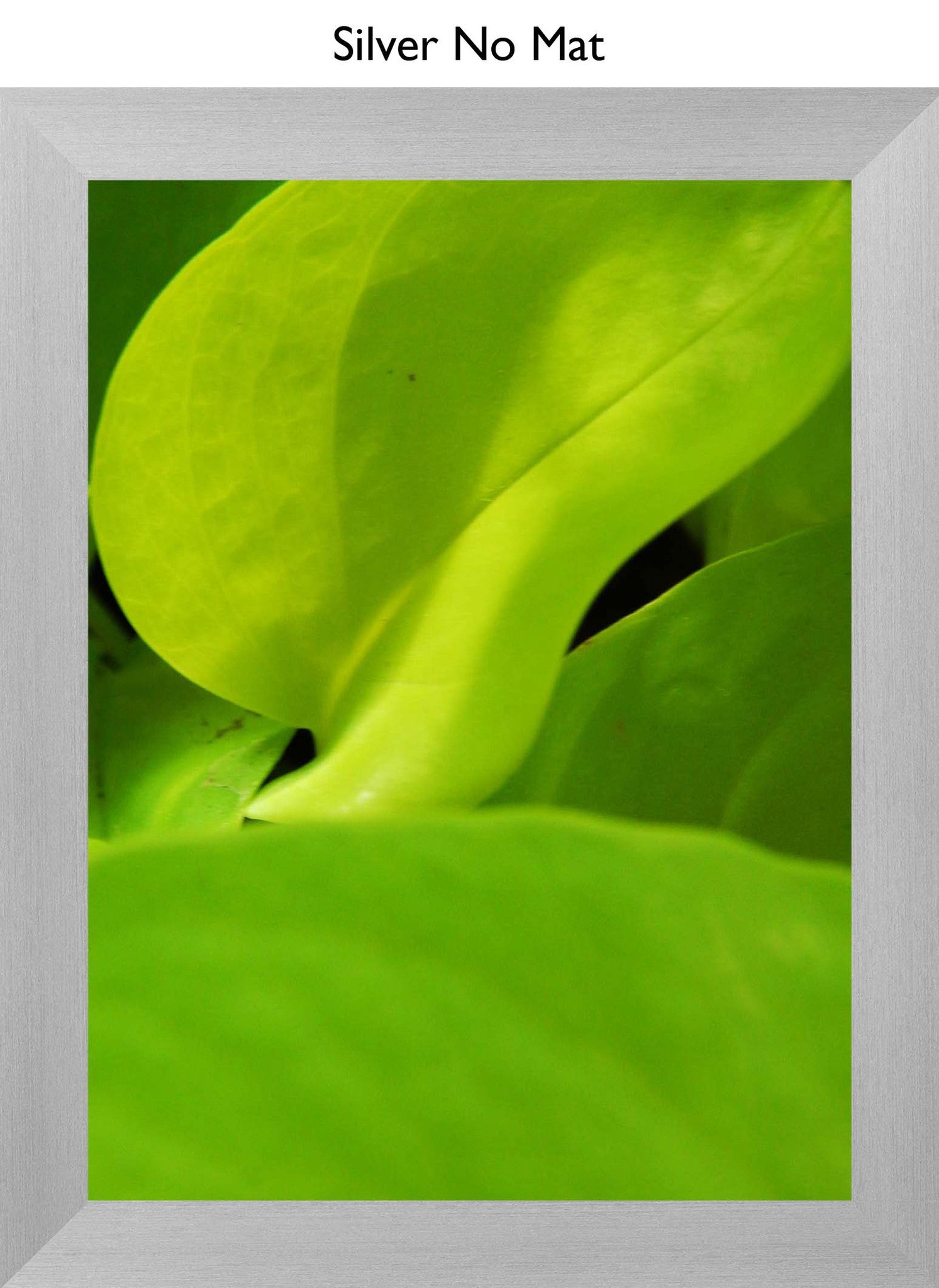 Silver No Mat