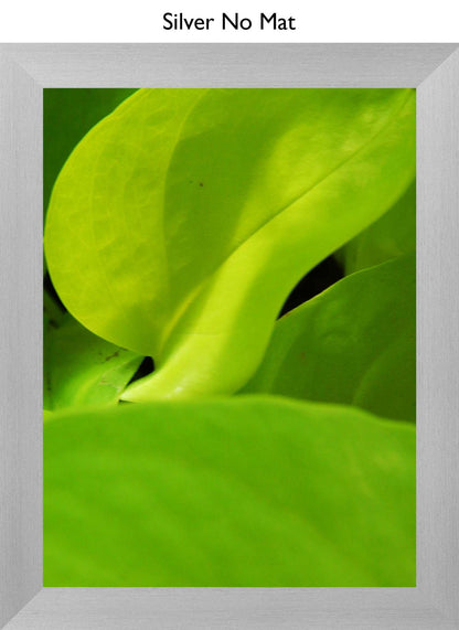 Silver No Mat