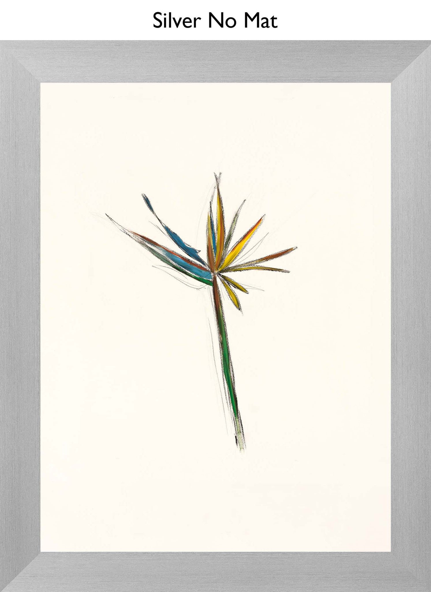 Silver No Mat