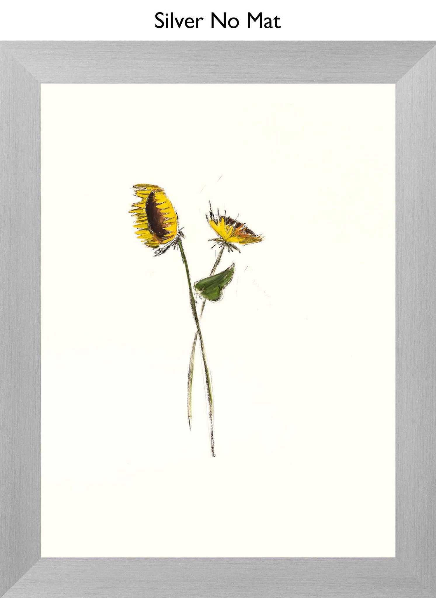 Silver No Mat