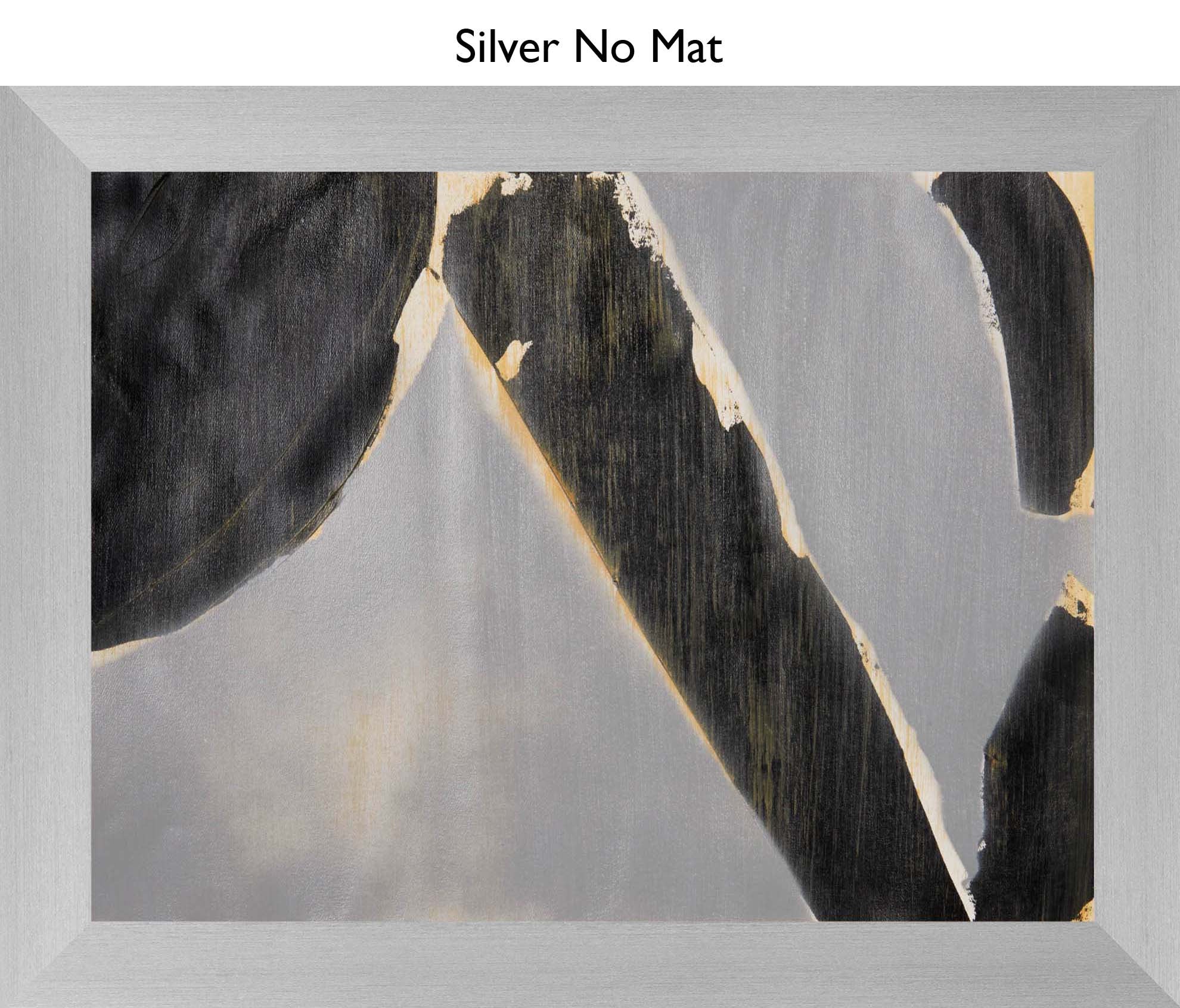 Silver No Mat