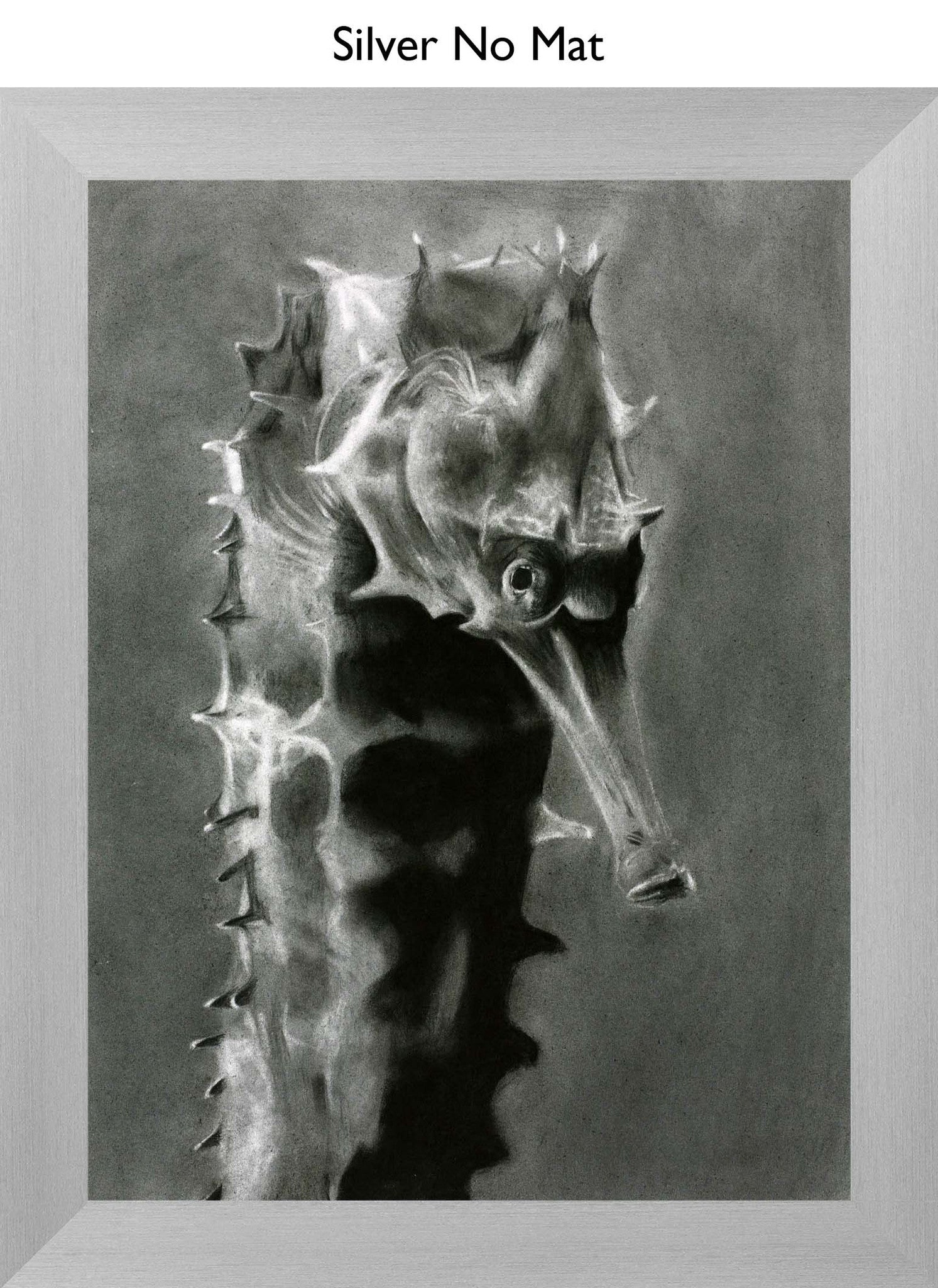 Silver No Mat