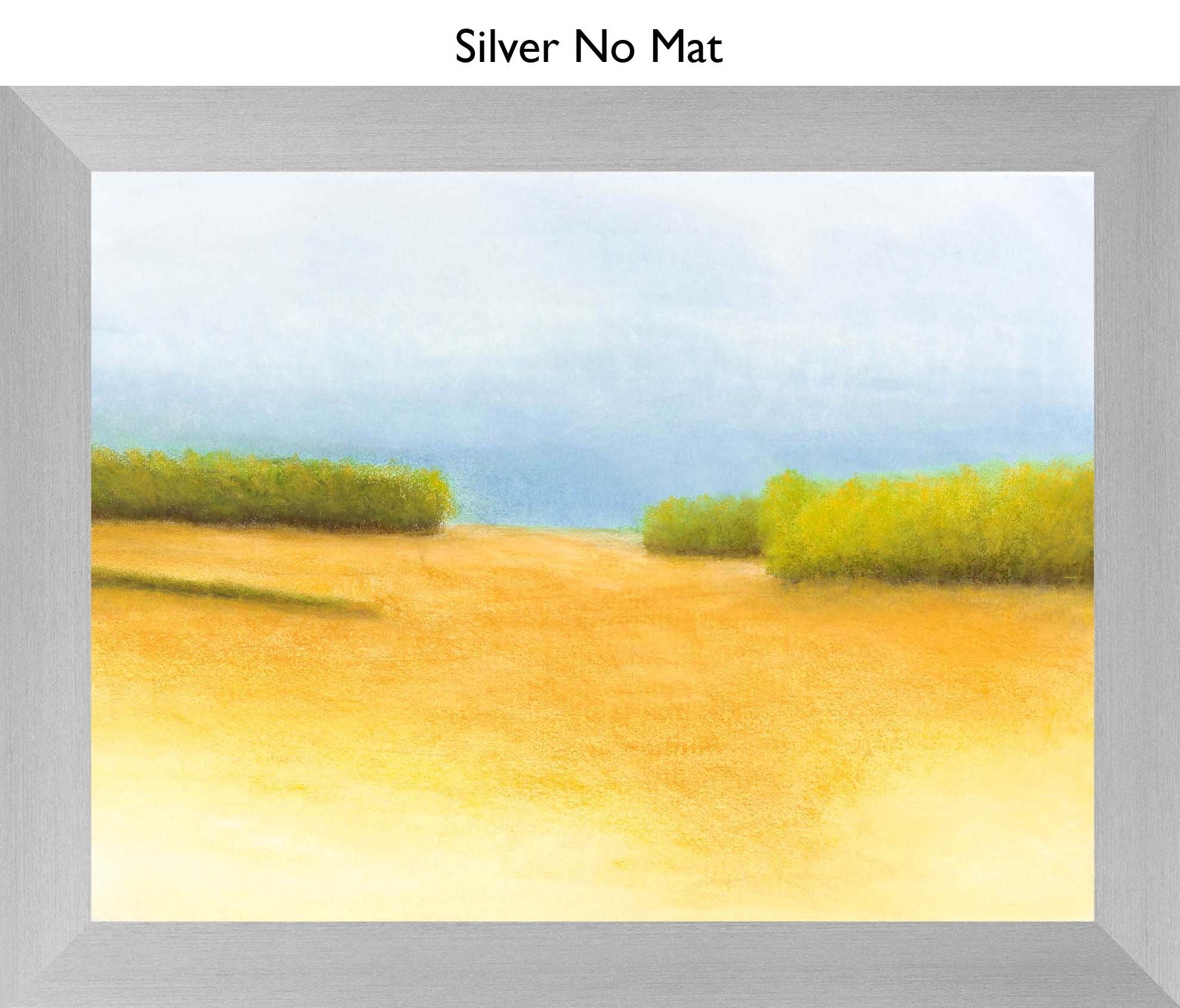 Silver No Mat