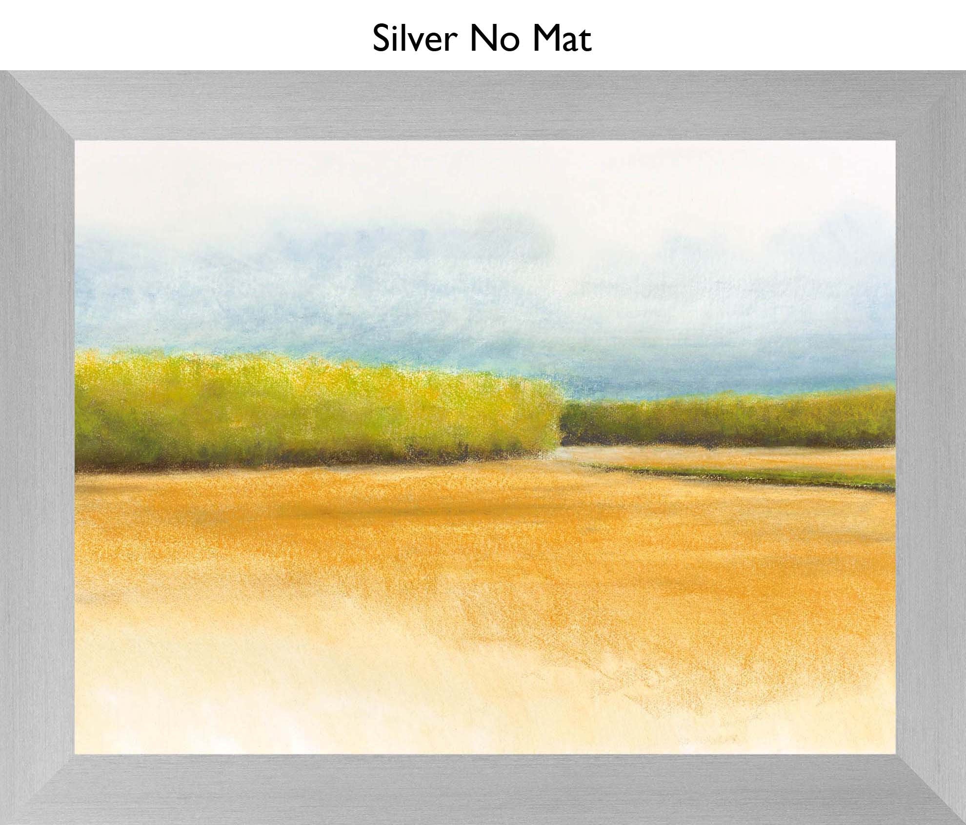 Silver No Mat