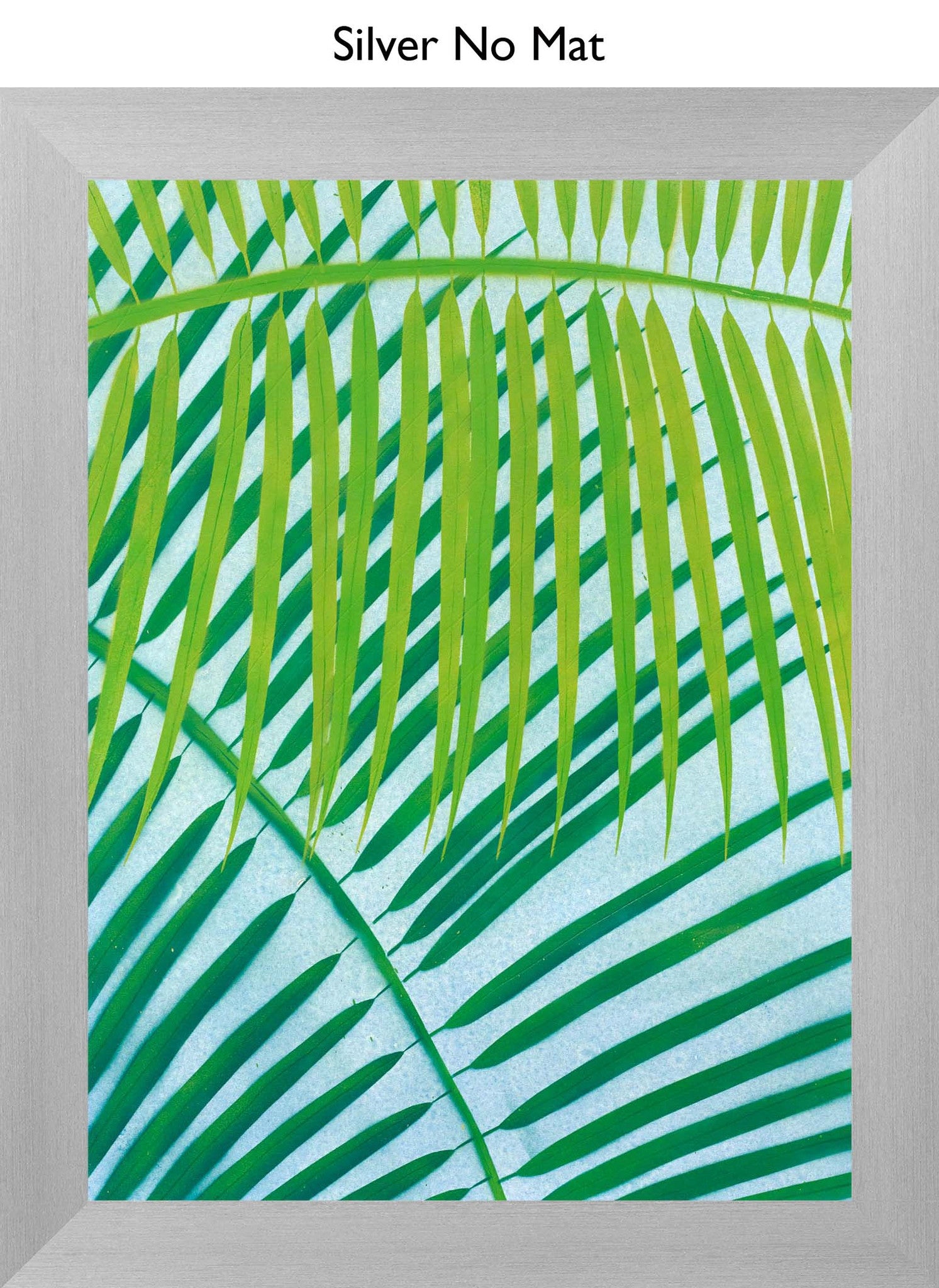 Silver No Mat