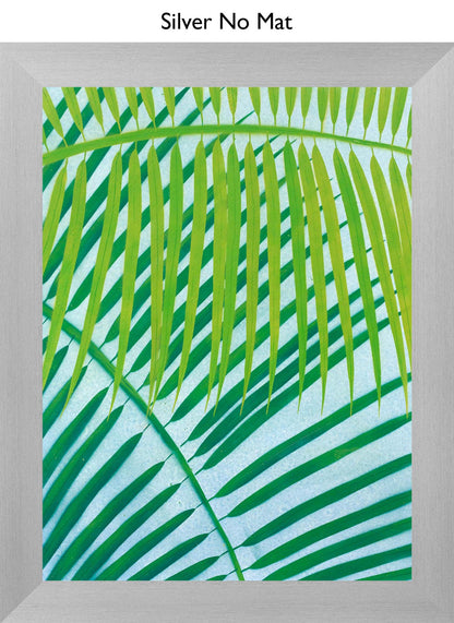 Silver No Mat