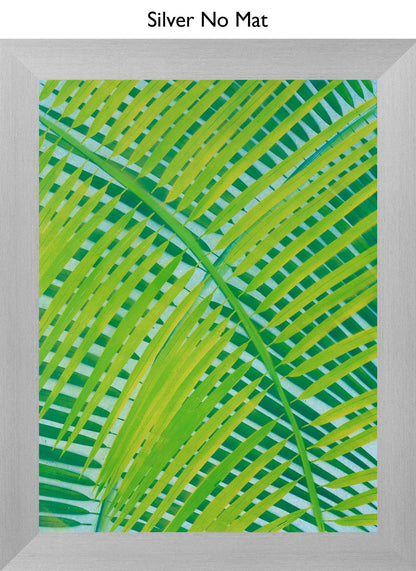 Silver No Mat