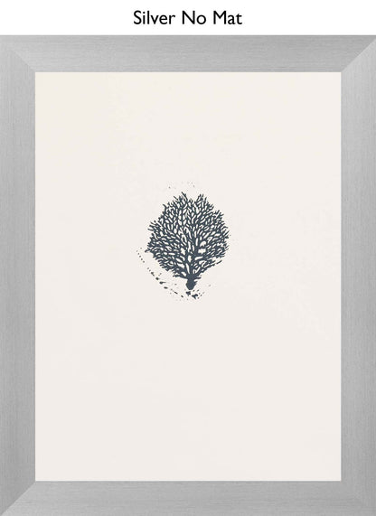 Silver No Mat