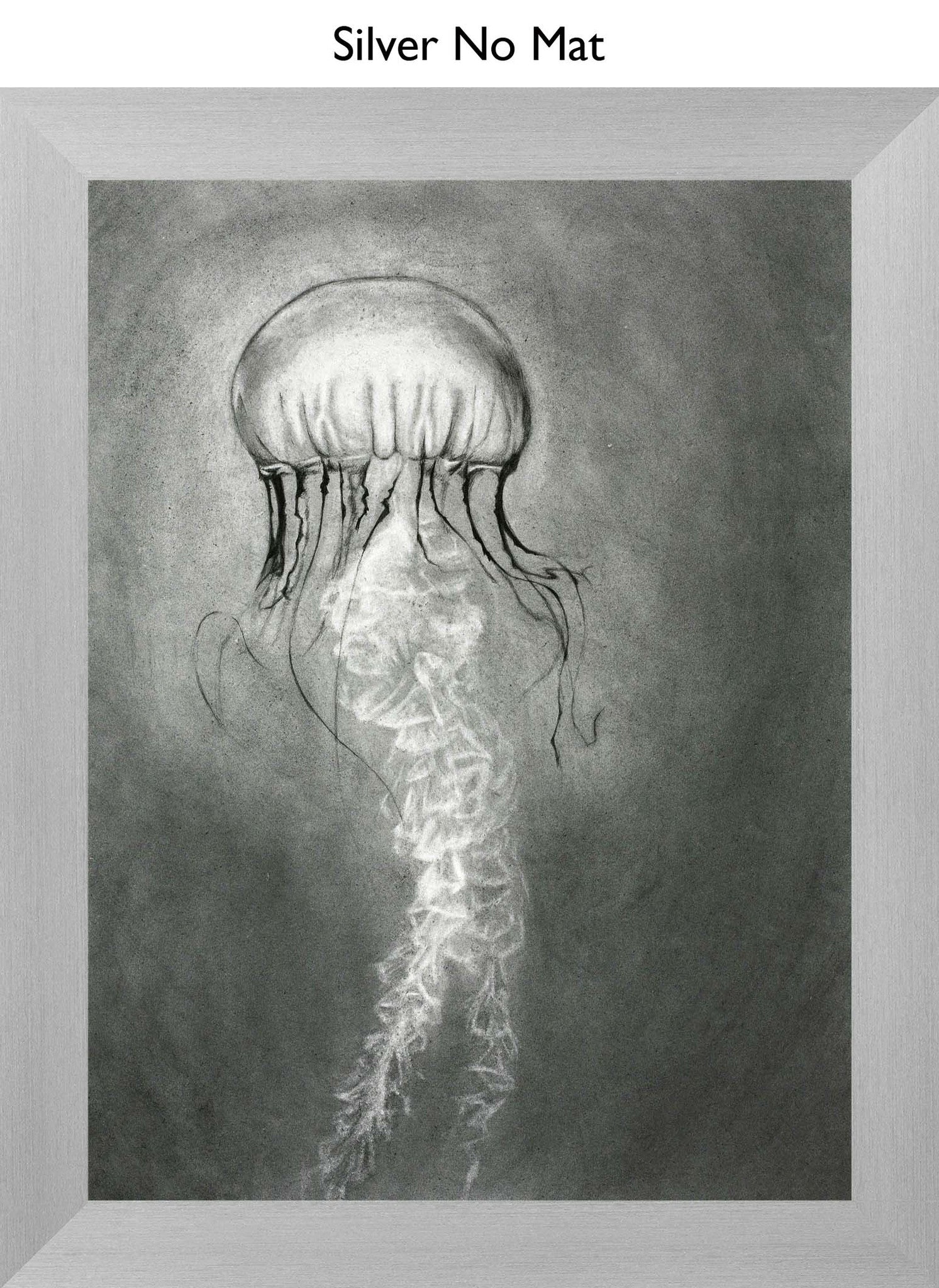 Silver No Mat