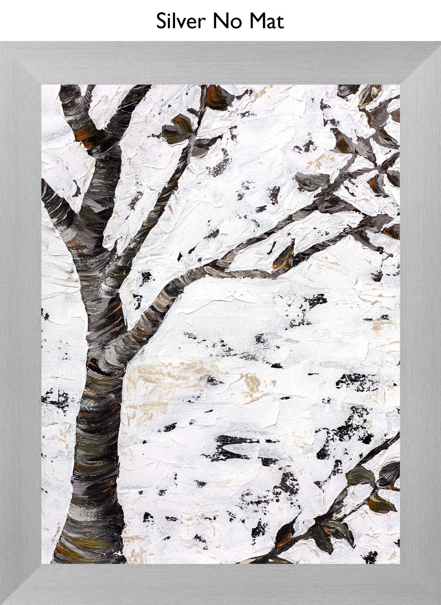 Silver No Mat