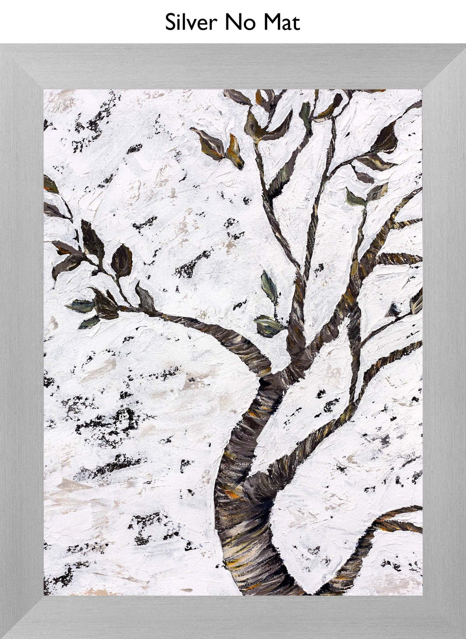 Silver No Mat