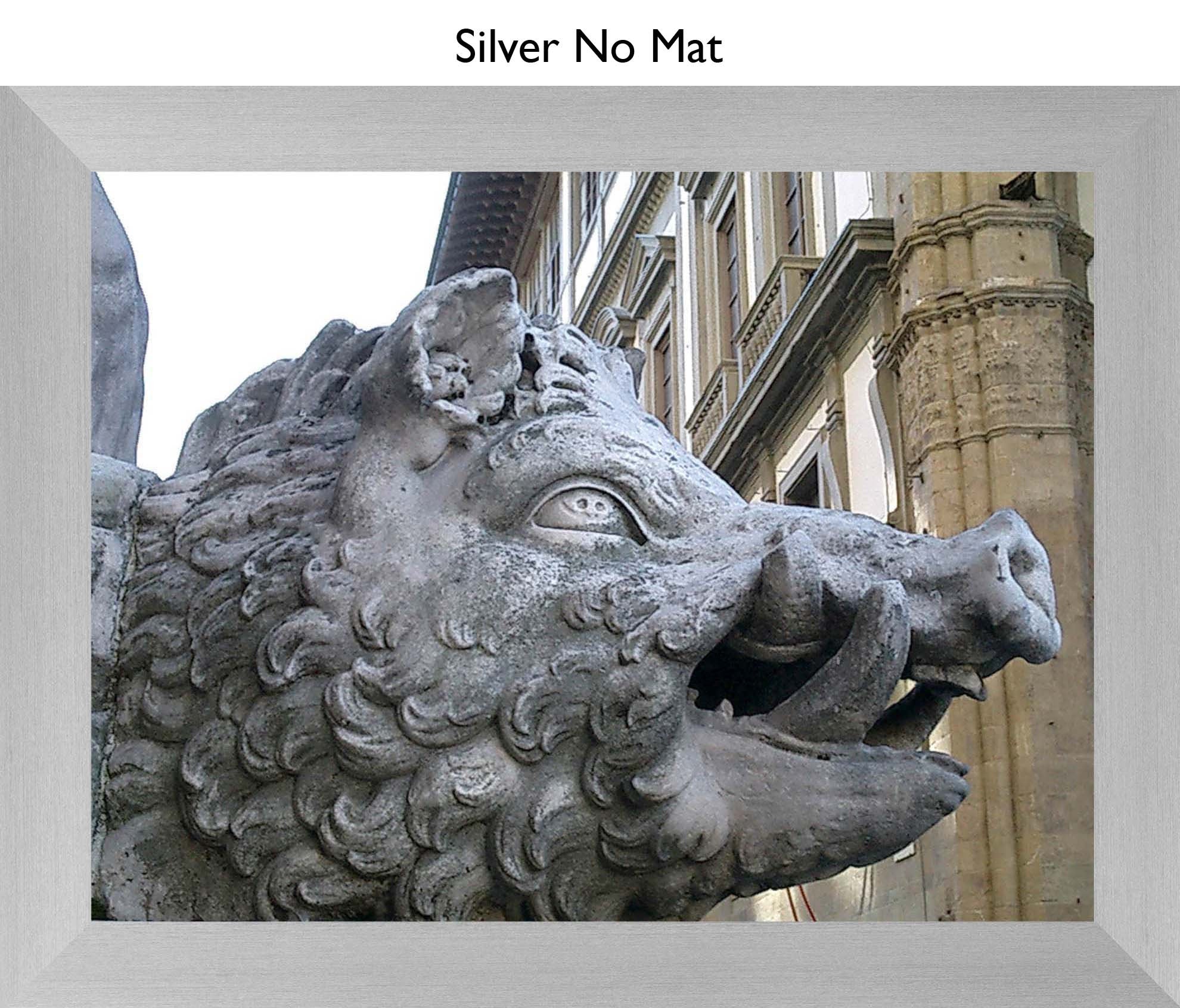 Silver No Mat