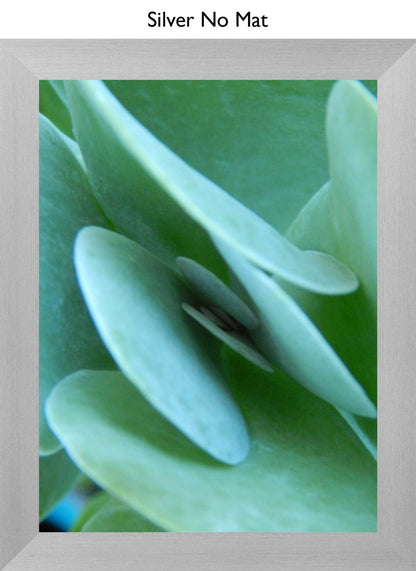 Silver No Mat