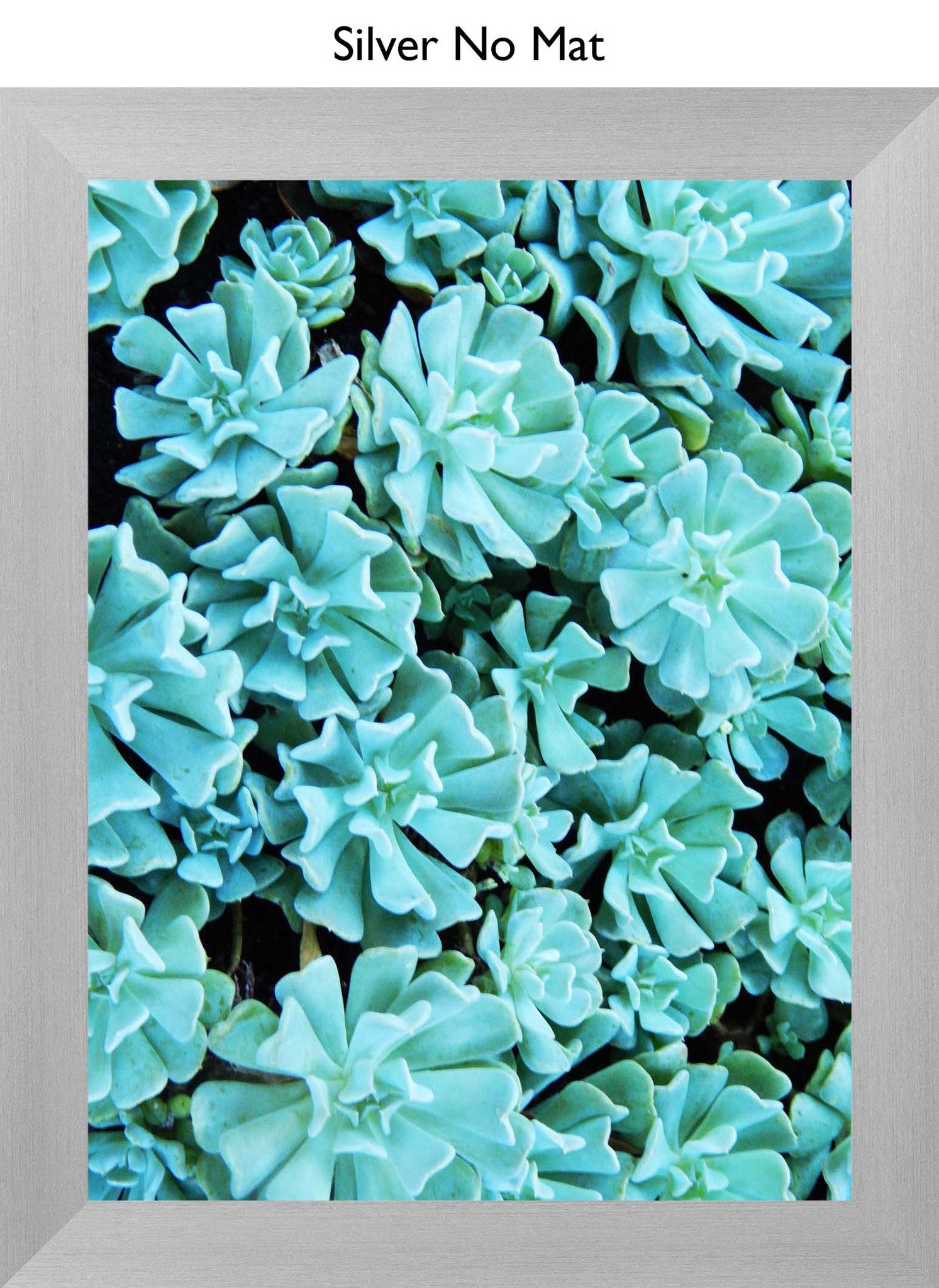 Silver No Mat
