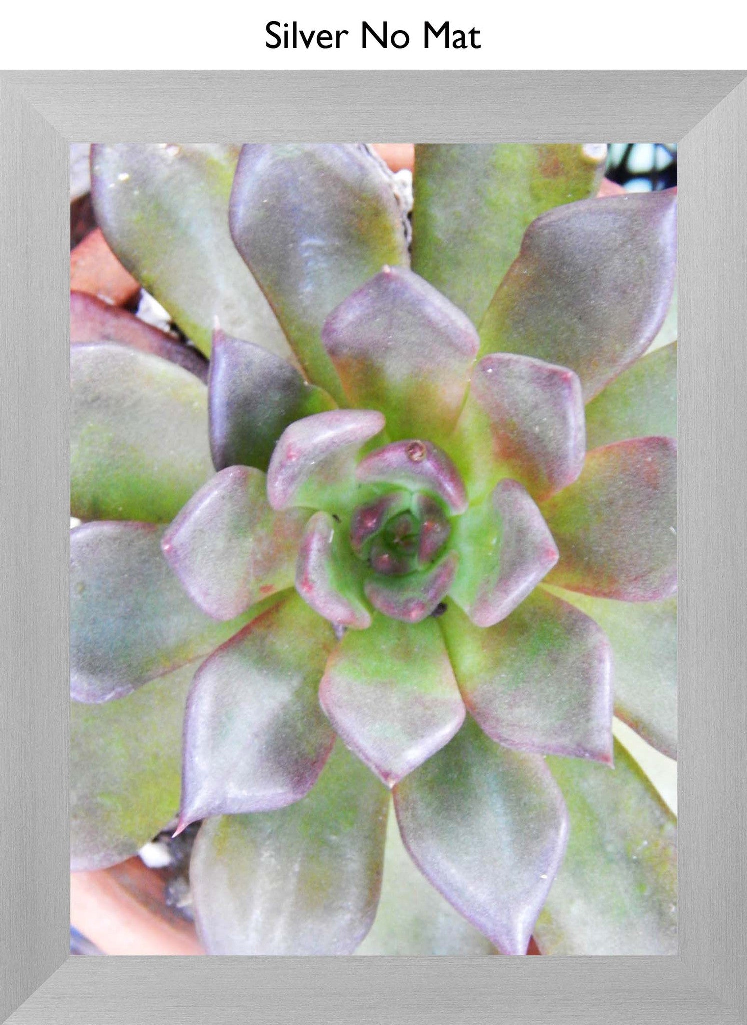 Silver No Mat