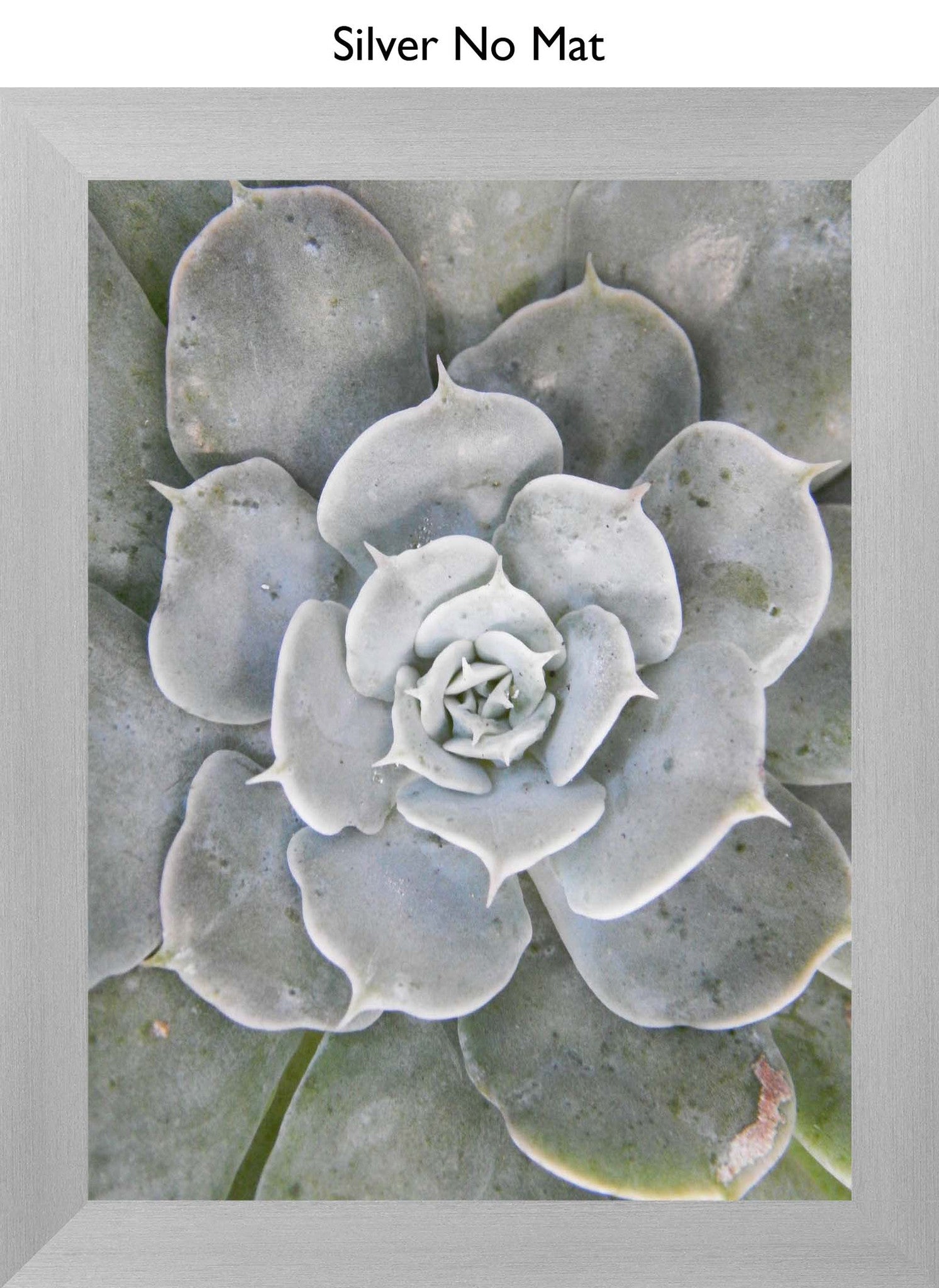 Silver No Mat