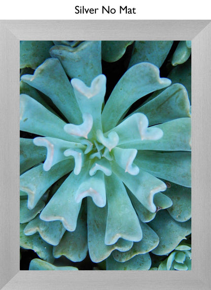Silver No Mat