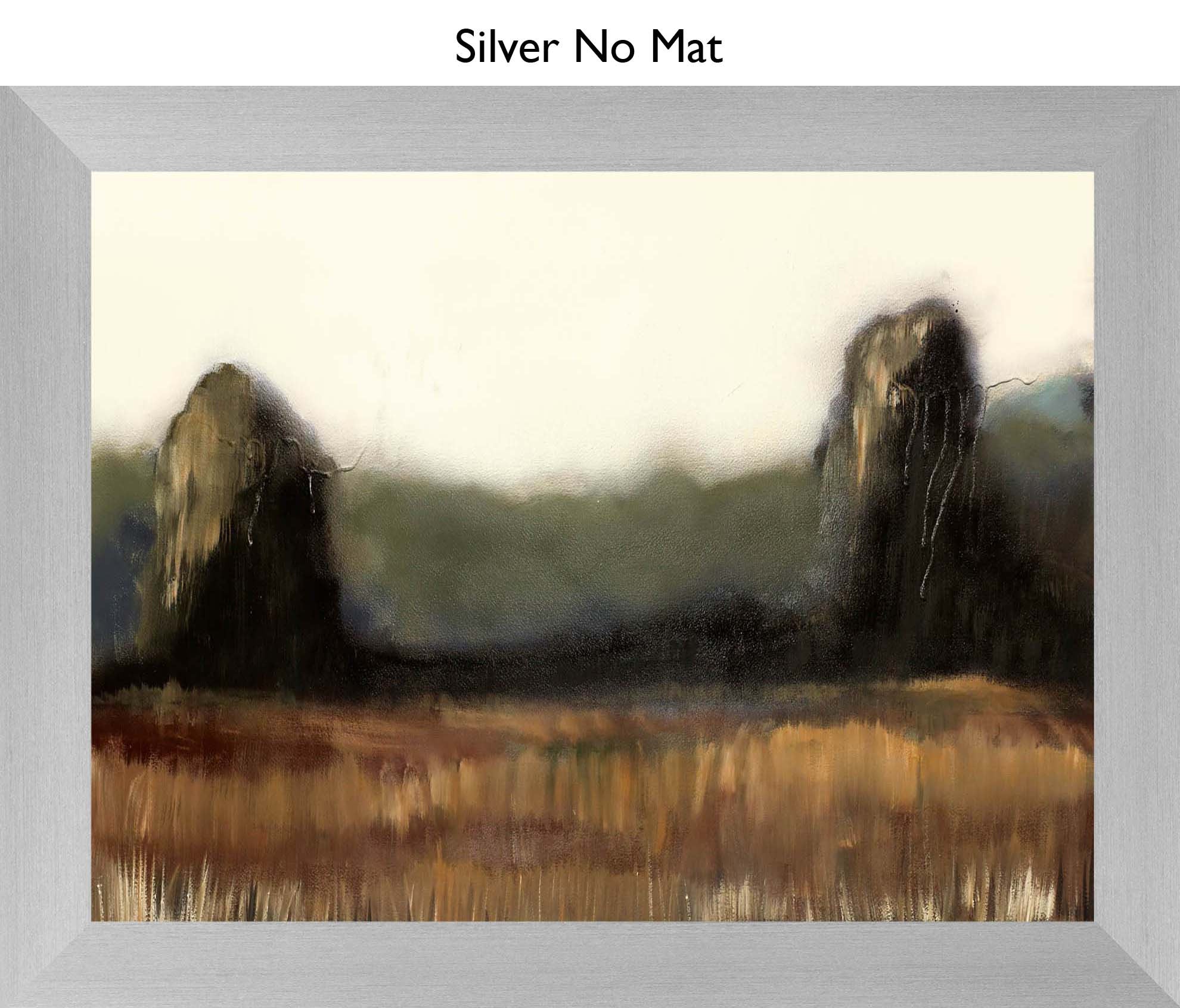 Silver No Mat
