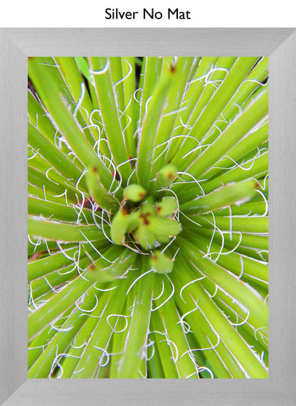 Silver No Mat