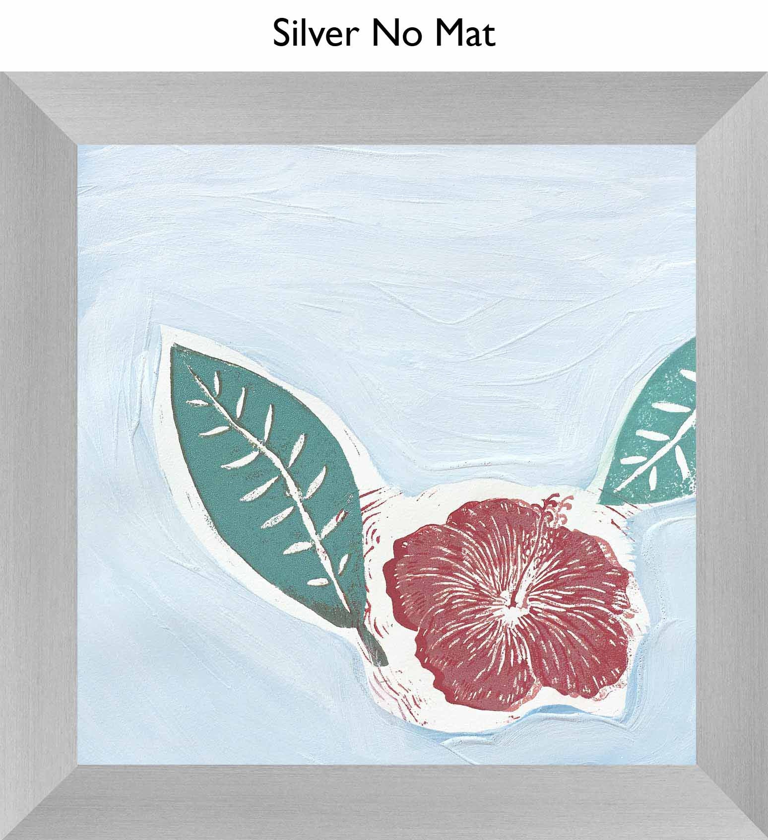 Silver No Mat