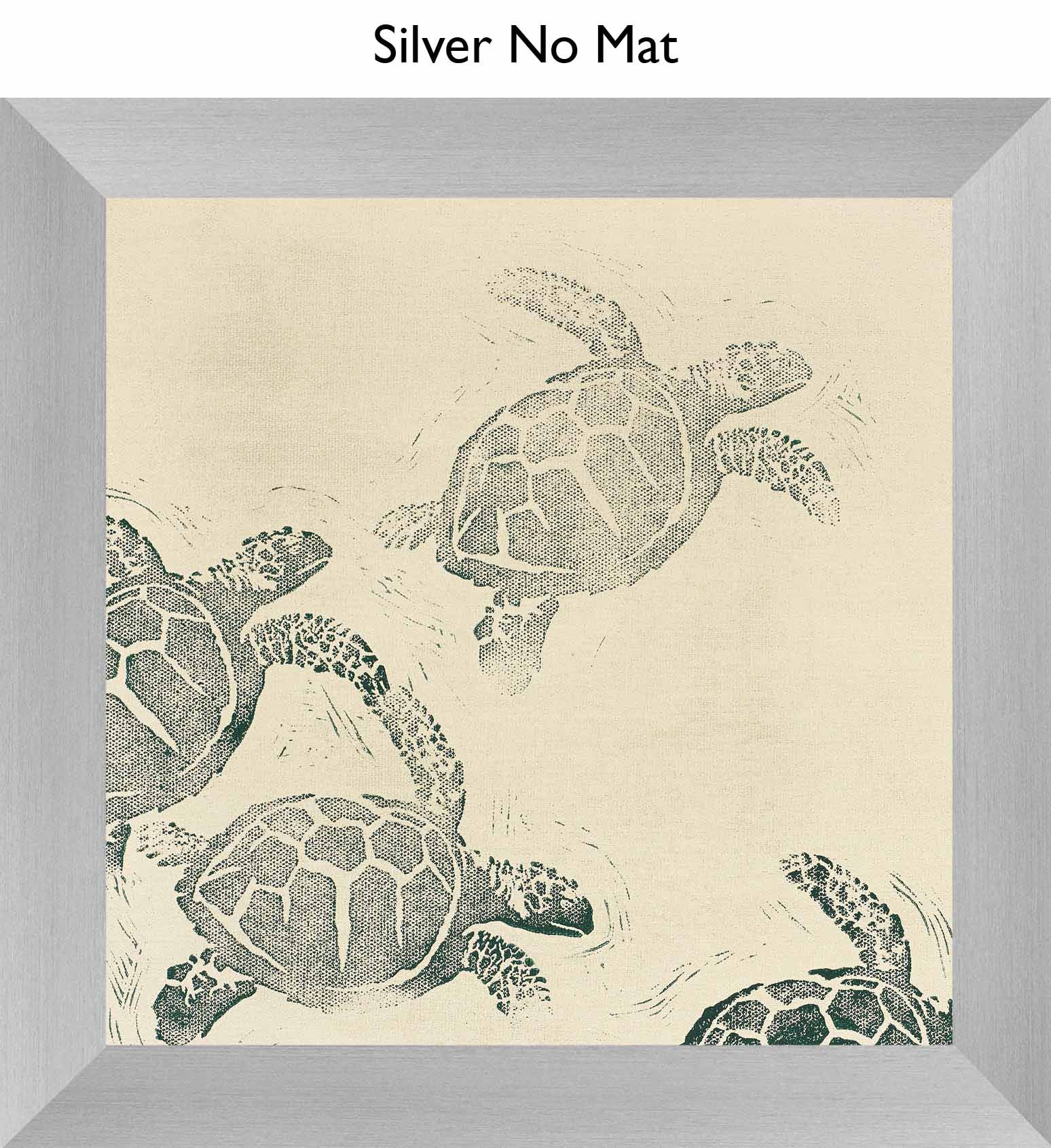 Silver No Mat