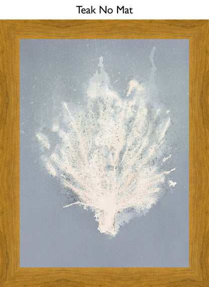 Teak No Mat
