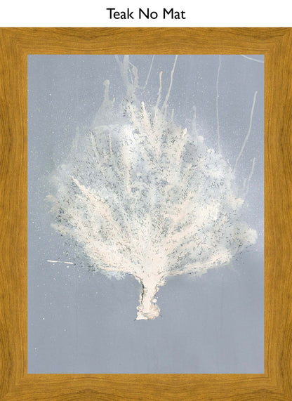 Teak No Mat