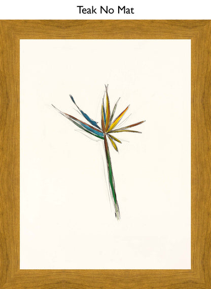 Teak No Mat