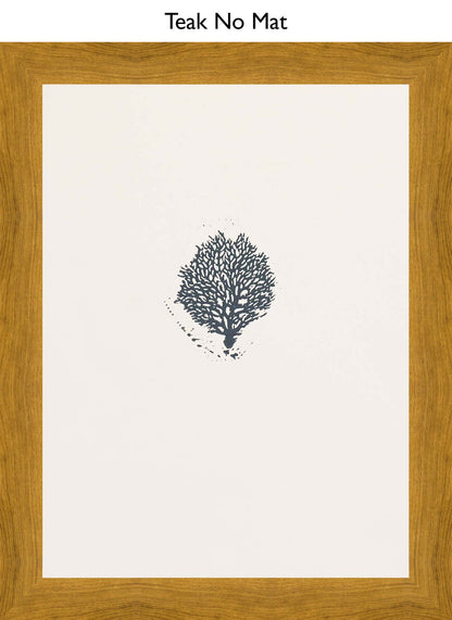 Teak No Mat