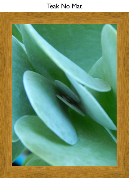 Teak No Mat