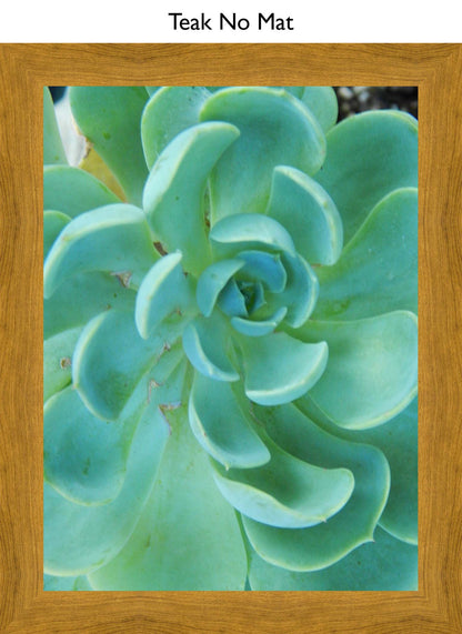 Teak No Mat