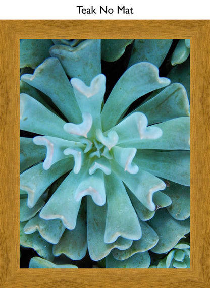 Teak No Mat